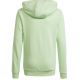 2. Adidas Big Logo Hoodie Jr IS2591 sweatshirt