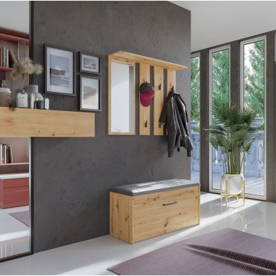 3. Hanger + mirror PARMA 100x15xH.81.5 artisan