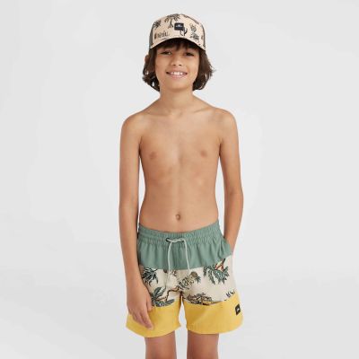3. O'Neill Mix&Match Cali Block 13'' Jr Swim Shorts 92800613806