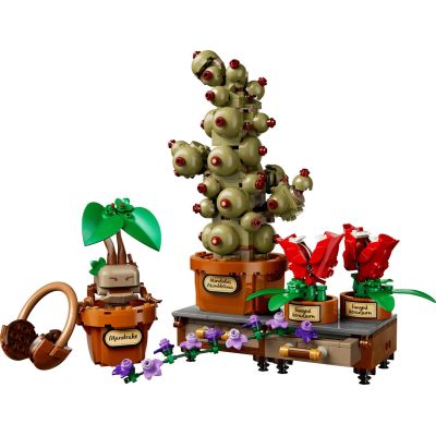 3. LEGO Harry Potter 76474 - Hogwarts Herbology Plants