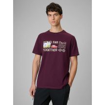 Men's regular printed T-shirt 4F 4FRSS26TTSHM3810-50S