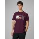 Men's regular printed T-shirt 4F 4FRSS26TTSHM3810-50S