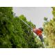 7. YT Pole Hedge Trimmer 600W 51cm