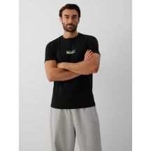 Men's regular printed T-shirt 4F 4FRAW26TTSHM4665-20S