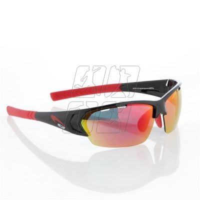 2. GOGGLE SUNGLASSES FW12 T428-2