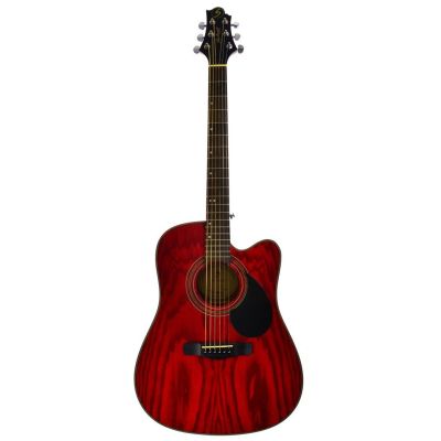 Samick D-4CE TR - electro-acoustic guitar