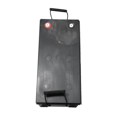 2. Extralink AGM 12V 200Ah Maintenance-Free Battery