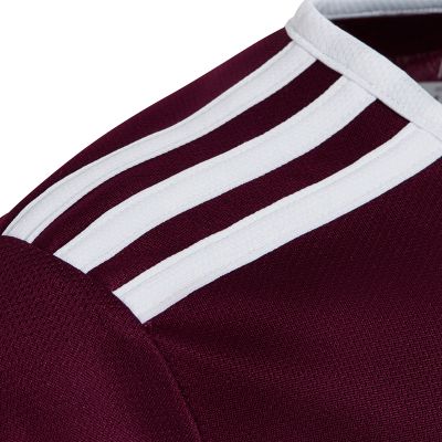 3. adidas Entrada 18 Jr T-shirt CE9564