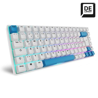 2. Sharkoon SKILLER SGK50 S3 PBT Gaming Keyboard USB QWERTZ German White