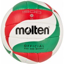 Molten V4M1900 volleyball ball