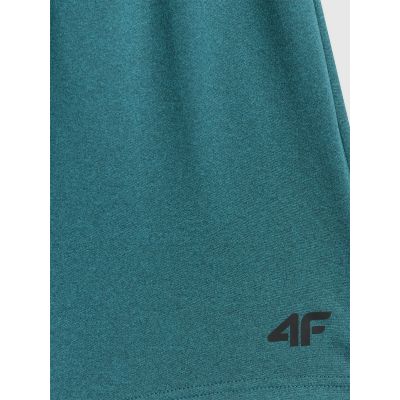 2. Men's quick-drying training shorts 4F 4FWSS26TFSHM1277-41M
