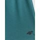 2. Men's quick-drying training shorts 4F 4FWSS26TFSHM1277-41M