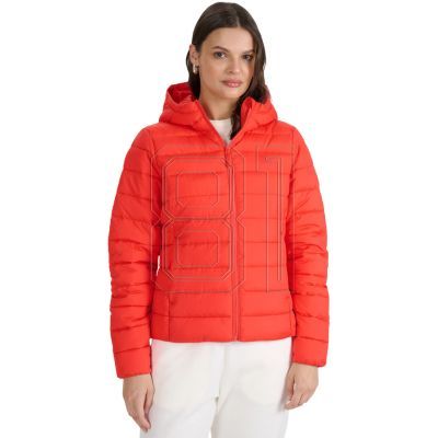 2. Down jacket 4F W 4FWAW25TDJAF580 62S