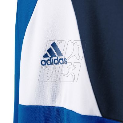 4. Adidas Assita 17 Jr AZ5404 sweatshirt