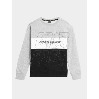 4F Jr sweatshirt 4FJAW23TSWSM630-27M