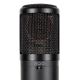 3. sE Electronics sE2300 Black Stage/Performance Microphone