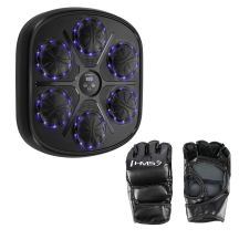 TB03 Bluetooth Electronic Boxing Target with Music and HMS Gloves