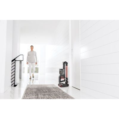 39. Rekin IZ400EU Akku-Staubsauger cordless vacuum cleaner