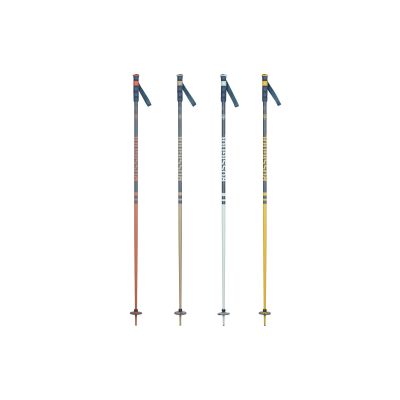 2. ROSSIGNOL STOVE BOX 20 PAIRS multicolor ski poles