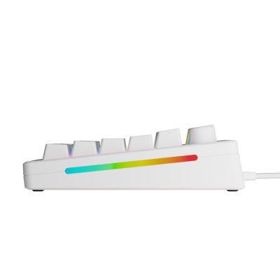 3. Glorious Gaming GMMK 3 HE 75% Prebuilt USB Keyboard QWERTY US English White