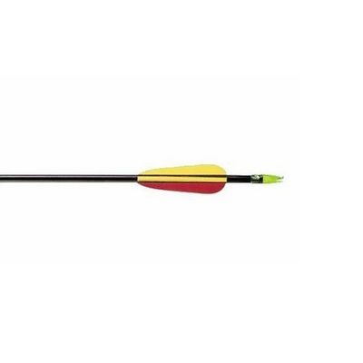 5. 30" Poe Lang Fiberglass Arrow (VD-065K)