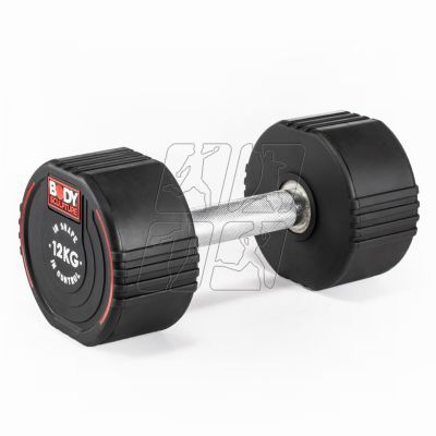 13. Dumbbell Body Sculpture TPU BW 133 12 KG