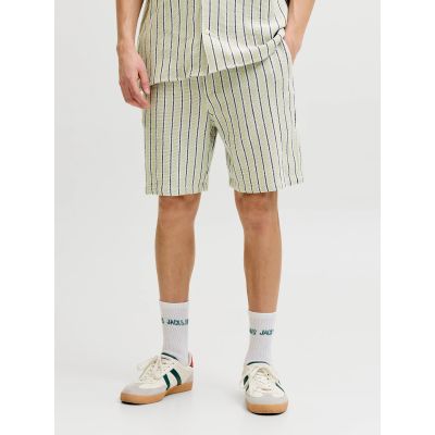 2. Jack&Jones men's striped shorts JPSTJAIDEN COBA STRIPE JOG SHORTS REG SN 12274413 TEA/STRIPES