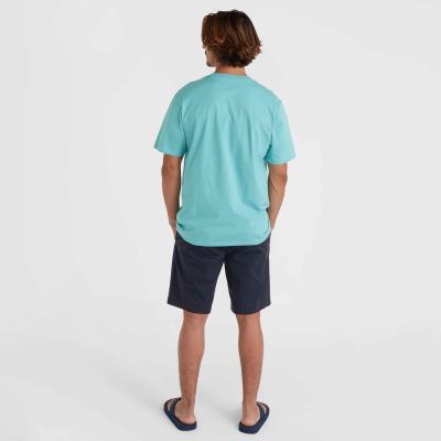6. O'Neill Essentials Chino Shorts M 92800613369