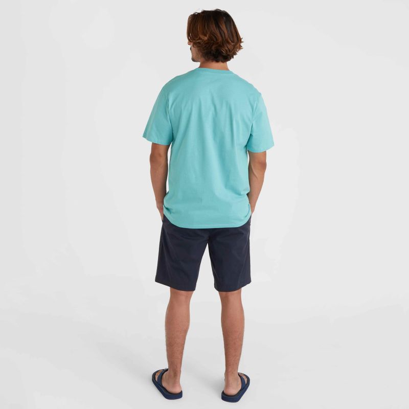 6. O'Neill Essentials Chino Shorts M 92800613369