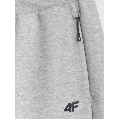 7. Men's jogger sweatpants 4F 4FRMM00TTROM1623-27M
