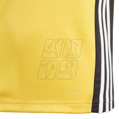 3. SWEATSHIRT adidas REGISTA 18 TRAINING yellow JR DJ1841