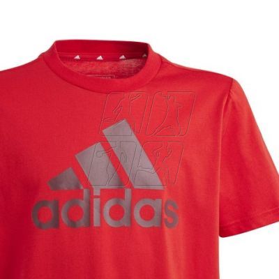 3. T-shirt adidas Big Logo Tee Jr IJ6262