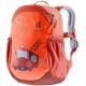 9. Deuter Pico Red Polyester Hiking Backpack