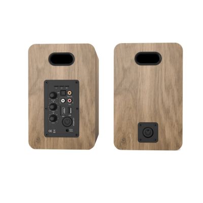 4. Blaupunkt BS50OK speakers brown