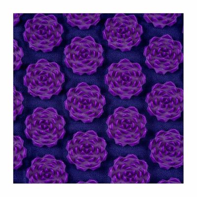 6. OROMED ORO-HEALTH PURPLE acupressure mat