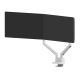 8. Neomounts DS70-250WH2 Monitor Holder/Stand for 81.3 cm (32") Monitors, Desk, White