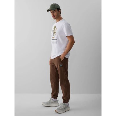 4. Men's jogger sweatpants 4F 4FRAW26TTROM2092-81S