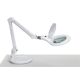 5. MAUL 8263602 table lamp White
