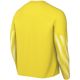 2. Nike Dri-Fit Park V Stadium Men's Jersey Yellow HV8314 718