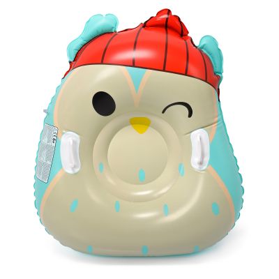 Meteor Owl Snow Slide 16765