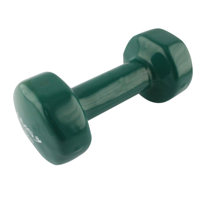 19. Vinyl-coated cast iron weight HMS 4.0 KG 17023 