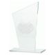 9. Engraved glass trophy