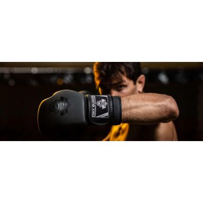 26. 10oz Boxing Gloves - Black Master - Valor Series