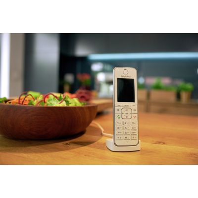 FRITZ!Fon C6 DECT Phone Caller Name and Identification White
