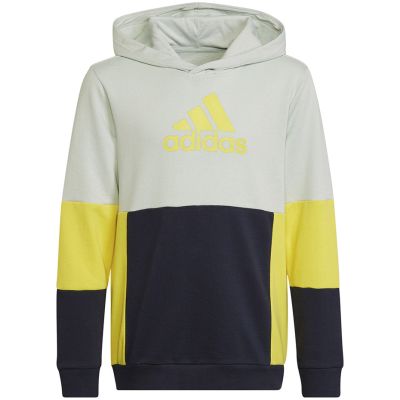 7. Adidas Colourblock Hoodie Jr HN8567 sweatshirt