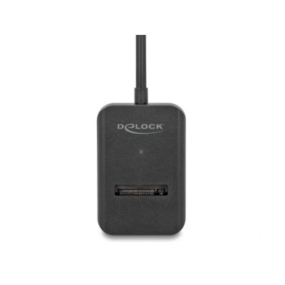2. DeLOCK Multifunctional M.2 NVMe PCIe or SATA SSD Converter with USB Type-C 10 Gbps