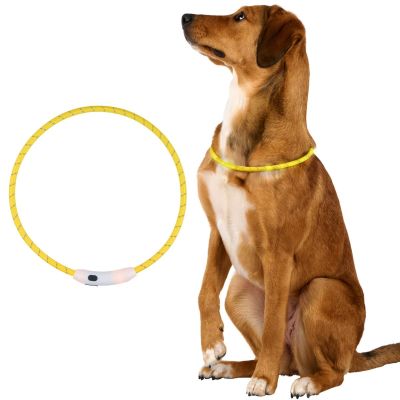 LED COLLAR DIAMETER 22CM MAXXPRO