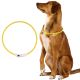 LED COLLAR DIAMETER 22CM MAXXPRO