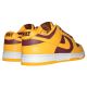11. Nike Dunk Low RETRO Sports Shoes - DD1391-702