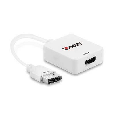 3. Lindy 38146 HDMI Type A (Standard) DisplayPort Cable Adapter White